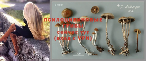 a pvp Арсеньев